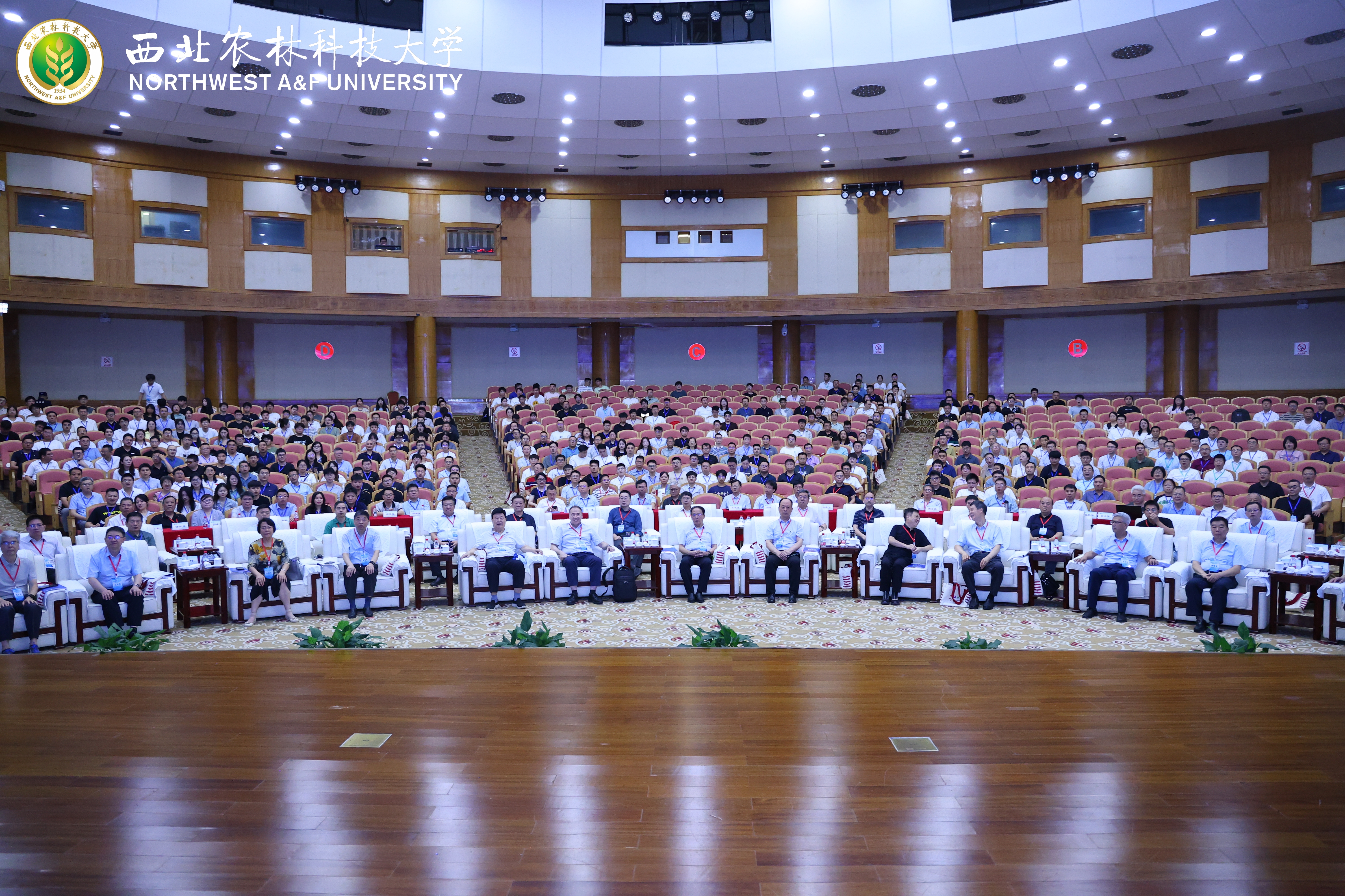 1755759252746391.jpg 1755759252746391.jpg